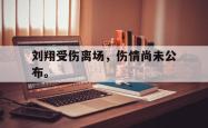 IM电竞网页版-刘翔受伤离场，伤情尚未公布。